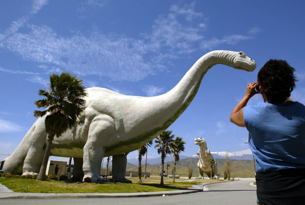 Cabazon. April 07, 2005.   Masha Calloway (Cq), on her way to California from New York, stops to